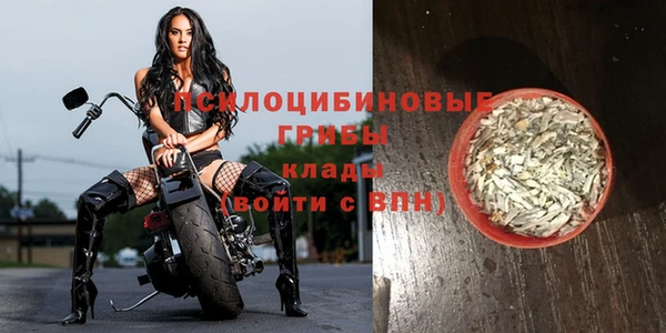 2c-b Заводоуковск