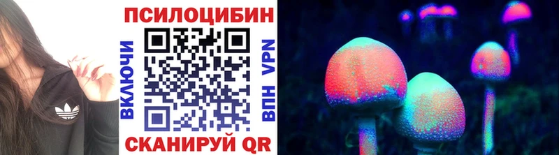 Псилоцибиновые грибы Cubensis  Купить закладки  Отрадный 
